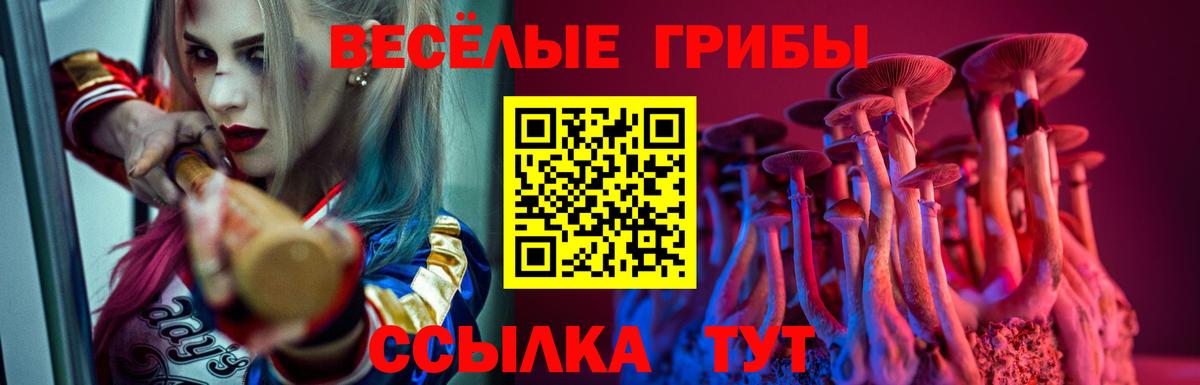 Железногорск  Галлюциногенные грибы прущие грибы  Вход с VPN 