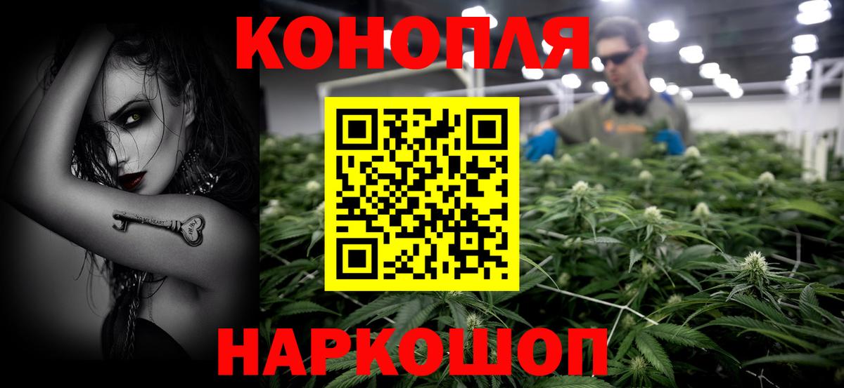 Бошки марихуана AK-47  Канабис планчик  Железногорск  Марихуана план  Вход с VPN 